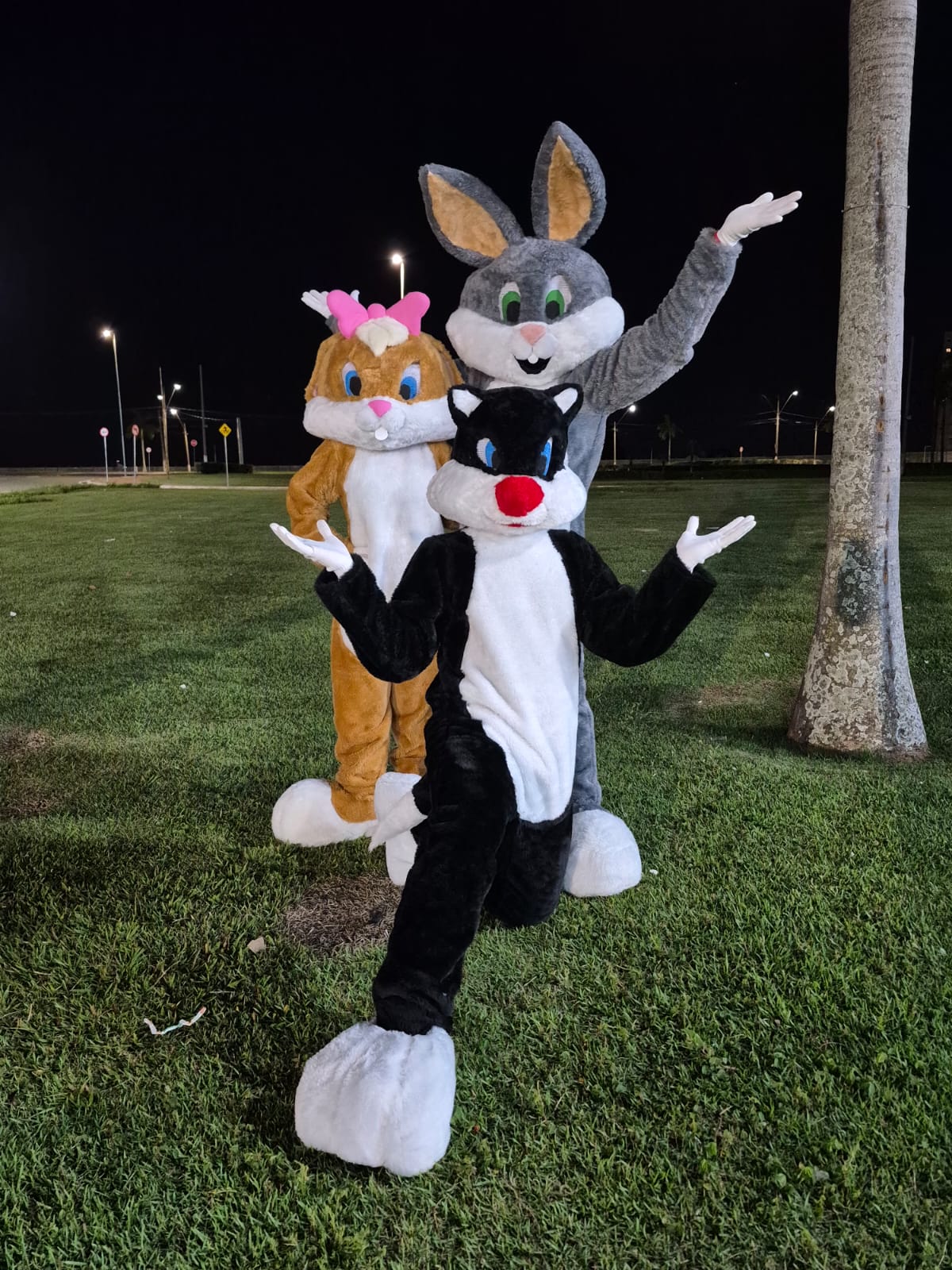 Turma Looney Tunes